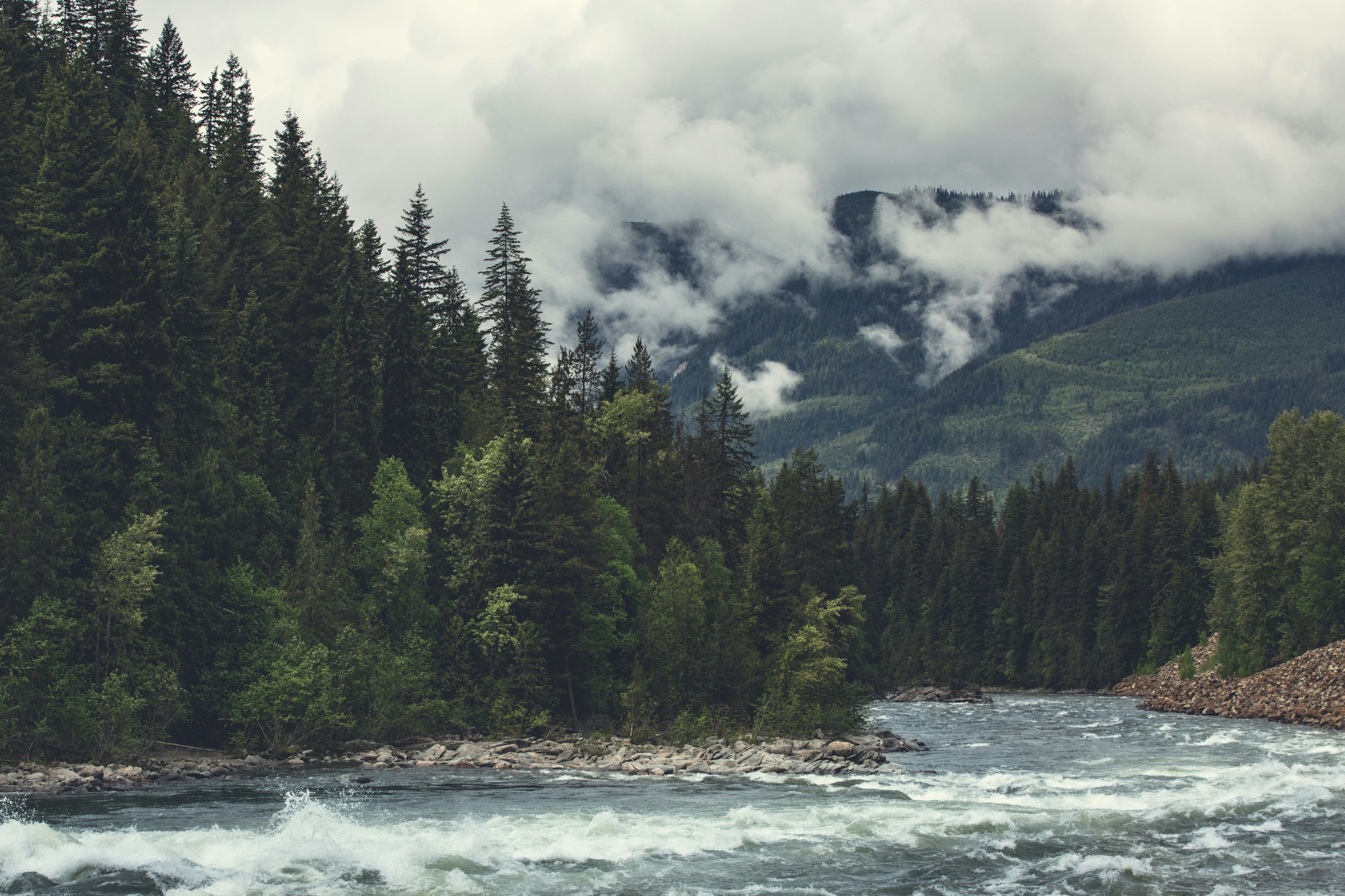 A scenic landscape photograph of a rushing river in the foreground, bordered by a dense evergreen forest, with mountains in the background partially covered by low-hanging white clouds.